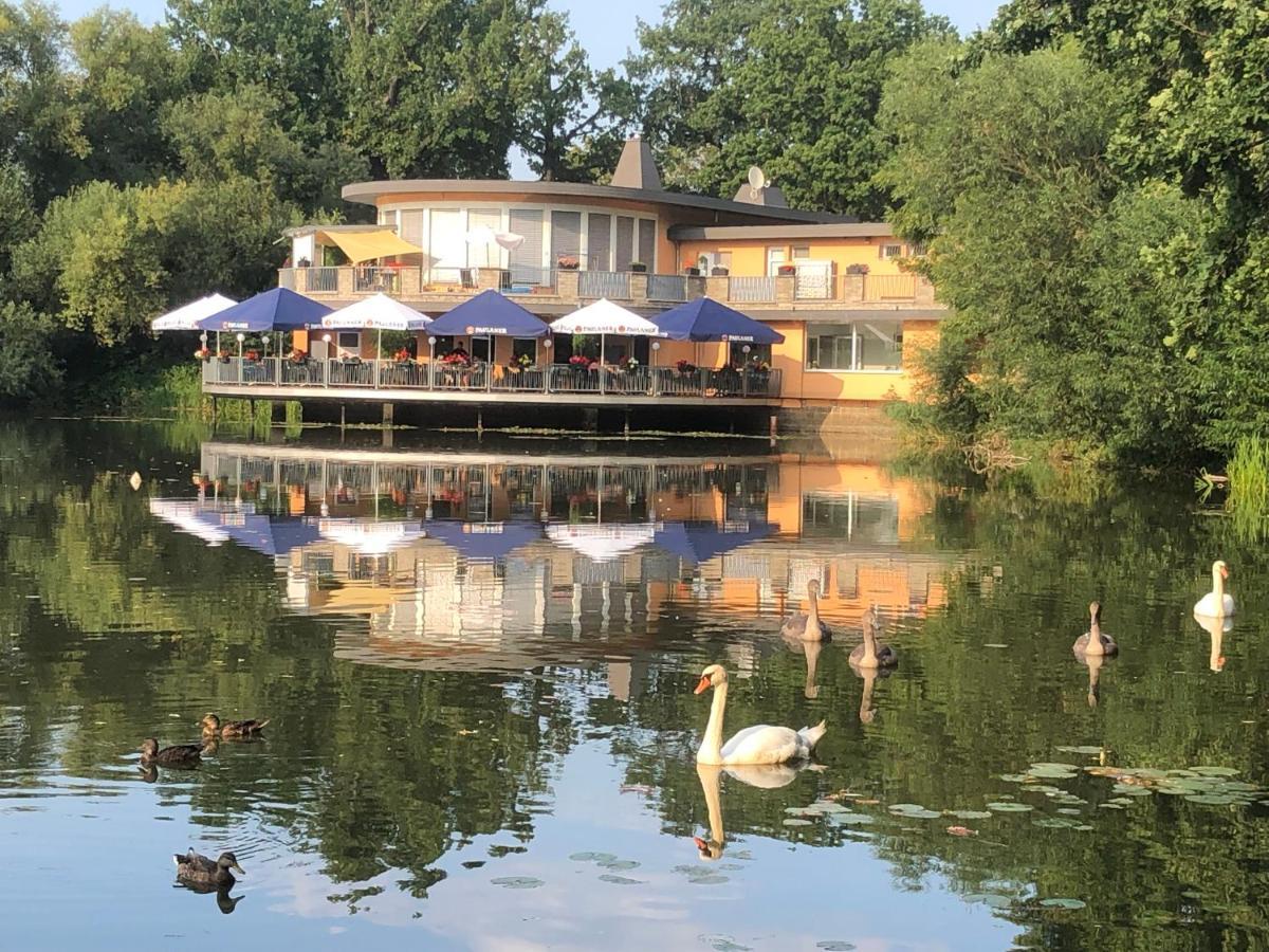 Pension Am See Torgau Esterno foto